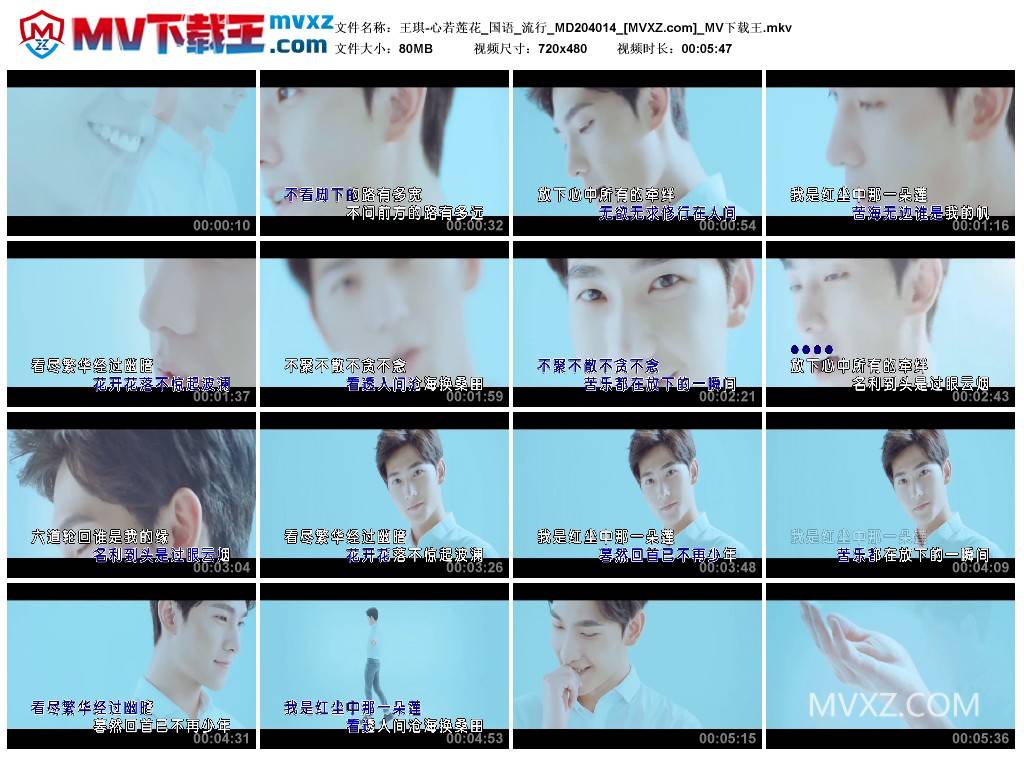 王琪-心若莲花_国语_流行_MD204014